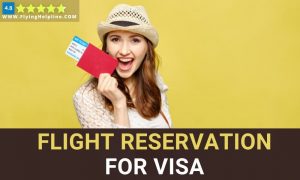 Flight reservation for visa or dummy ticket for visa @ $15