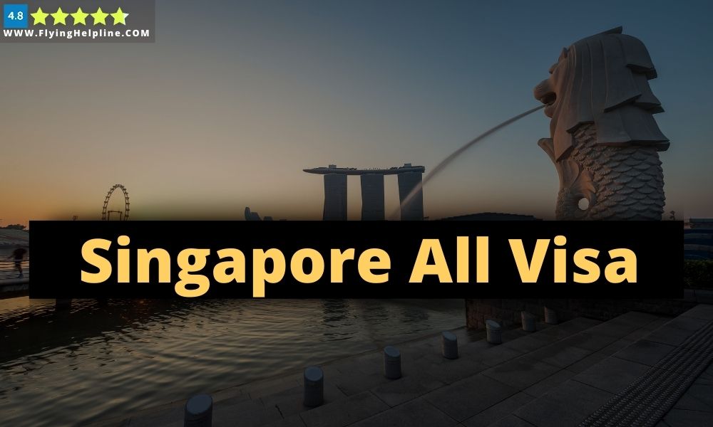 singapore all types of visa